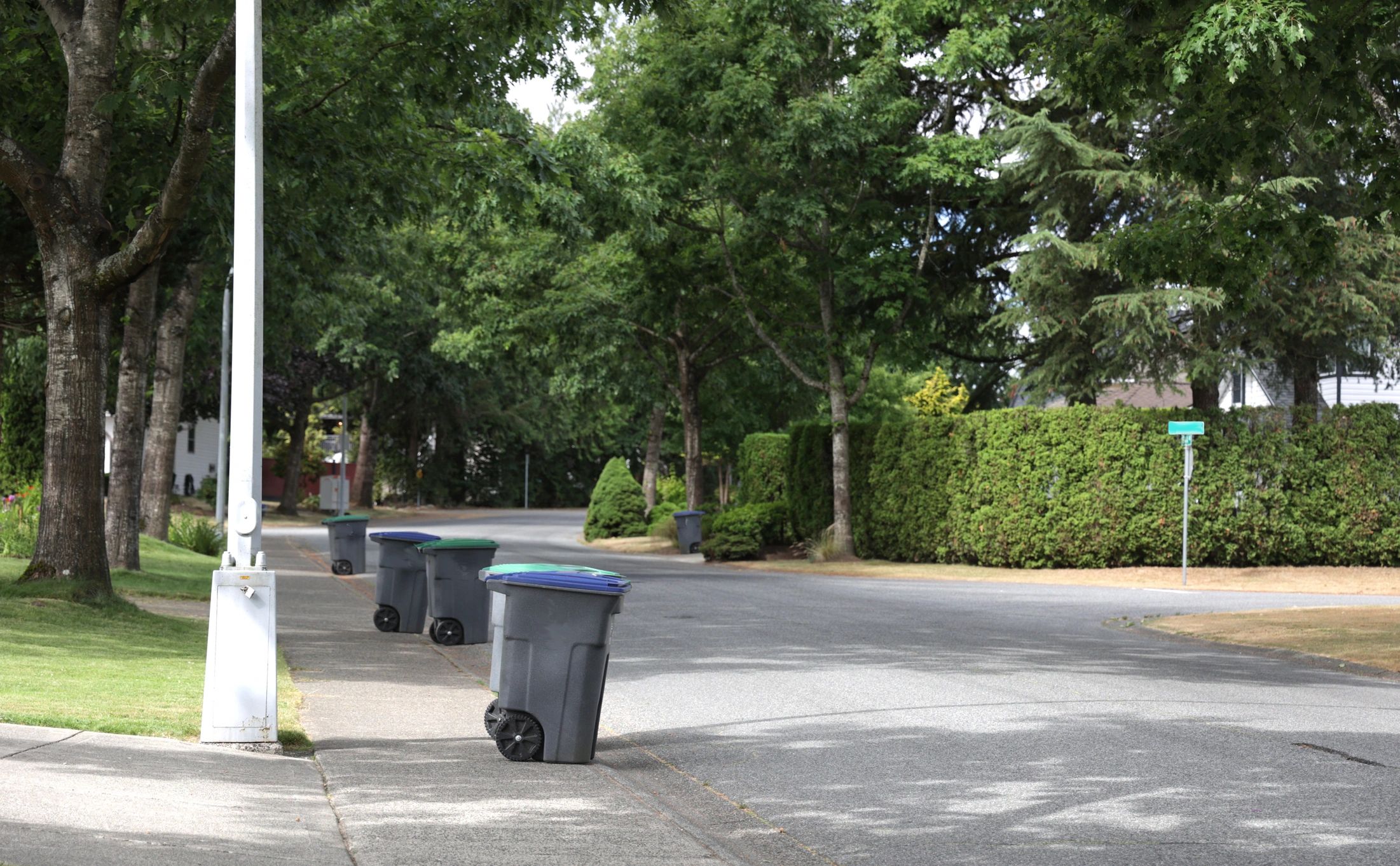Recycling bins at curb on collection day representing trash and recycling